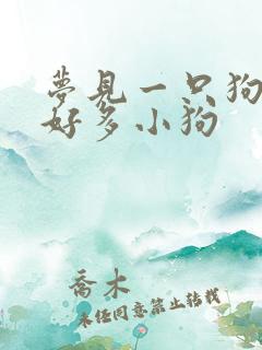 梦见一只狗生了好多小狗