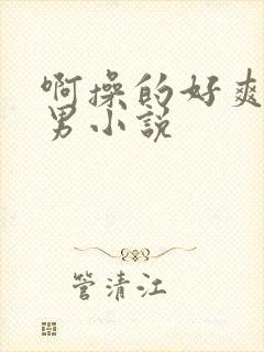 啊操的好爽啊男男小说