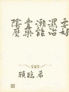 阴囊潮湿要吃什么药能治好