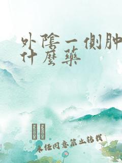 外阴一侧肿痛吃什么药