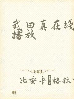 武田真在线av播放