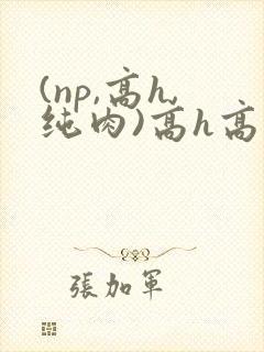 (np,高h,纯肉)高h高辣