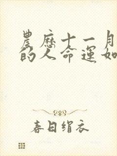 农历十一月属龙的人命运如何