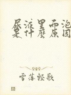 尿液里面泡沫多是什么原因男性