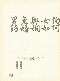 男兔与女狗相配的婚姻如何