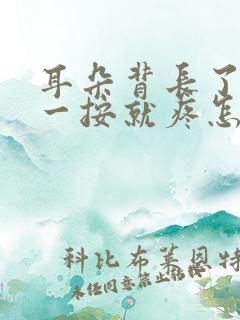 耳朵背长了个包一按就疼怎么办