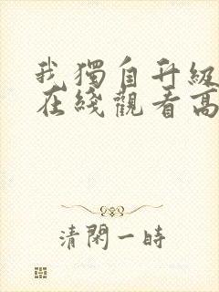 我独自升级动漫在线观看高清