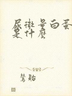 尿微量白蛋白高是什么