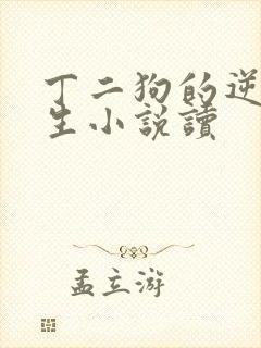 丁二狗的逆袭人生小说读