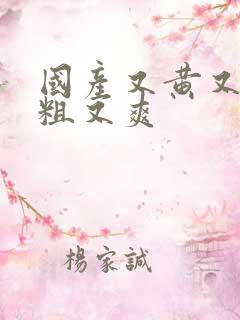 国产又黄又猛又粗又爽