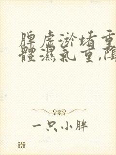 脾虚淤堵重,身体湿气重,阴虚怎样调理