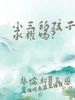 小三的孩子有继承权吗?