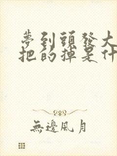 梦到头发大把大把的掉是什么预兆