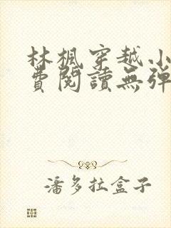 林枫穿越小说免费阅读无弹窗