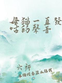 母猫一直发出咕咕的声音