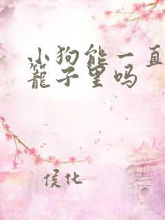 小狗能一直关在笼子里吗