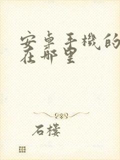 安卓手机的投屏在哪里