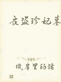 夜盗珍妃墓露点