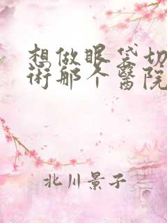 想做眼袋切除手术那个医院做得好