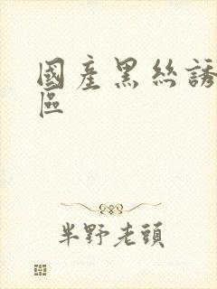 国产黑丝诱惑一区