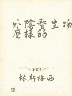 外阴赘生物是什么样的