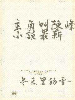 主角叫陈峰姚瑶小说最新