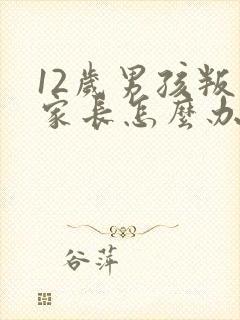 12岁男孩叛逆家长怎么办