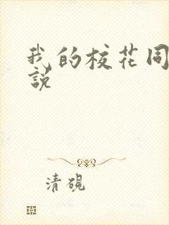 我的校花同学小说