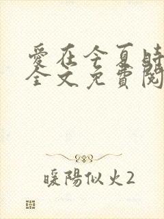 爱在今夏时小说全文免费阅读