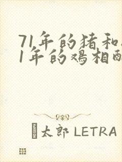 71年的猪和81年的鸡相配婚姻如何