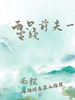 两只前夫一台戏 电线