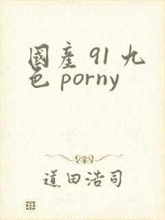 国产 91 九色 porny