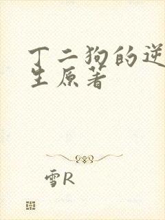 丁二狗的逆袭人生原著
