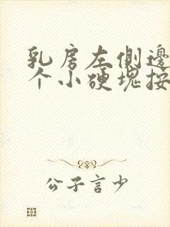 乳房左侧边缘有个小硬块按压疼痛