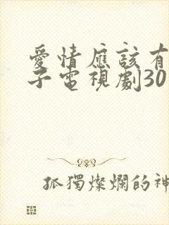 爱情应该有的样子电视剧30集全集