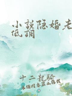 小说隐婚老公请低调