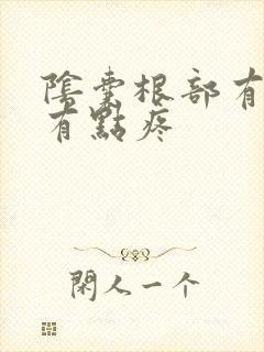 阴囊根部有肿块有点疼