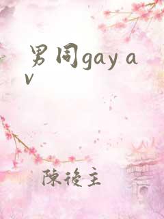 男同gay av