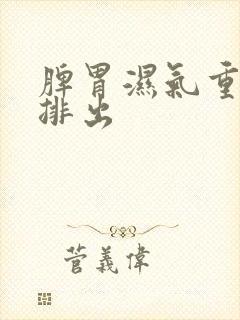 脾胃湿气重怎样排出