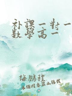 补课一对一高中数学高一