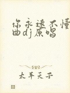 你永远不懂我歌曲dj原唱