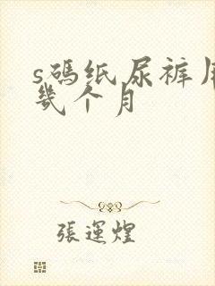 s码纸尿裤用到几个月