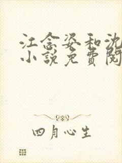 江念姿和沈程的小说免费阅读