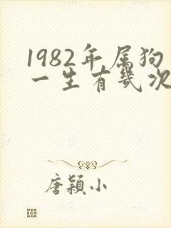 1982年属狗一生有几次婚姻