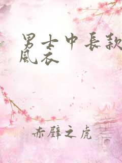 男士中长款休闲风衣