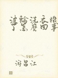 波轮洗衣机不转了怎么回事