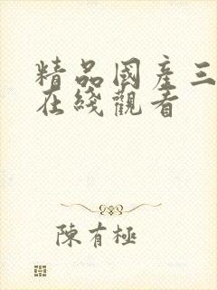 精品国产三级a在线观看