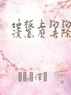 地板上狗狗的尿渍怎么去除