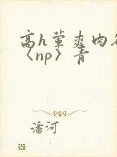 高h荤爽肉欲文〈np〉青