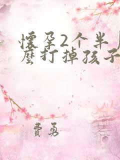 怀孕2个半月怎么打掉孩子